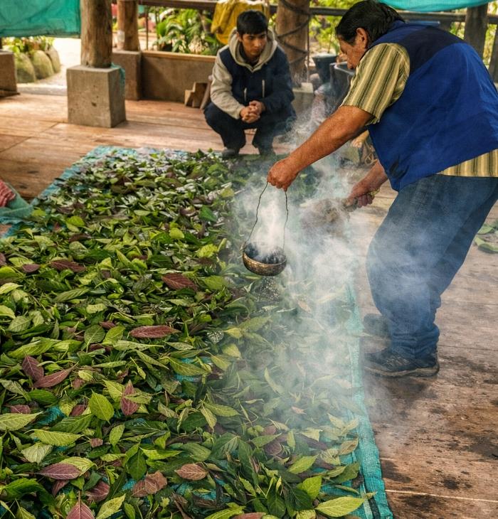the-labyrinth-colombia-viaggio-comunitario-cerimonia-piante-sacredjpg.png