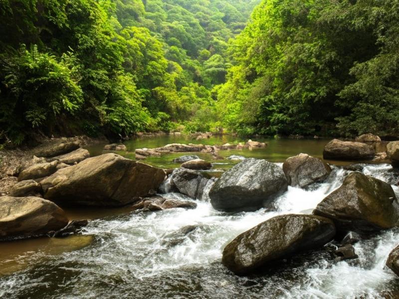 Natura-in-Vietnam.jpg