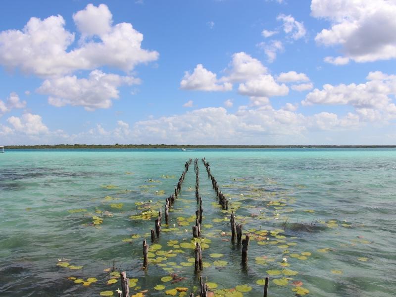 bacalar-26990121920.jpg