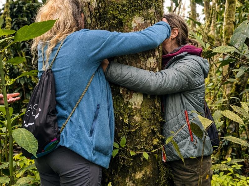 the-labyrinth-colombia-viaggio-spirituale-comunitario-connessione-natura-putumayo.png